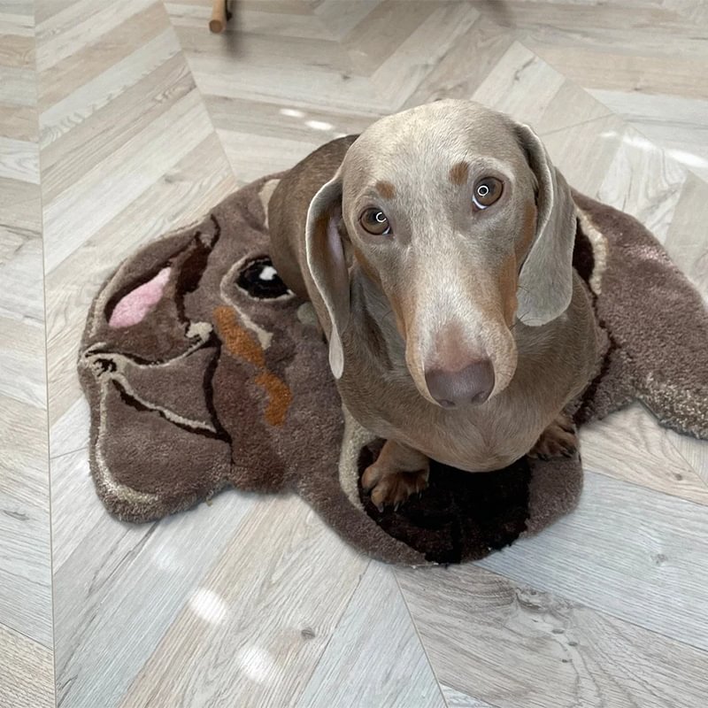 Customized Pet Flocked Faux Cashmere Blanket