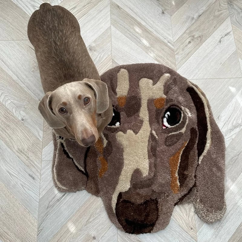 Customized Pet Flocked Faux Cashmere Blanket