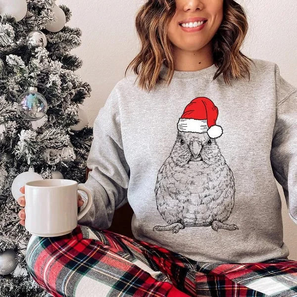 Custom Pet Christmas Sweatshirt Personalized Dog Cat Santa Hat Graphic Crewneck