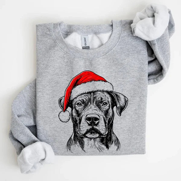 Custom Pet Christmas Sweatshirt Personalized Dog Cat Santa Hat Graphic Crewneck